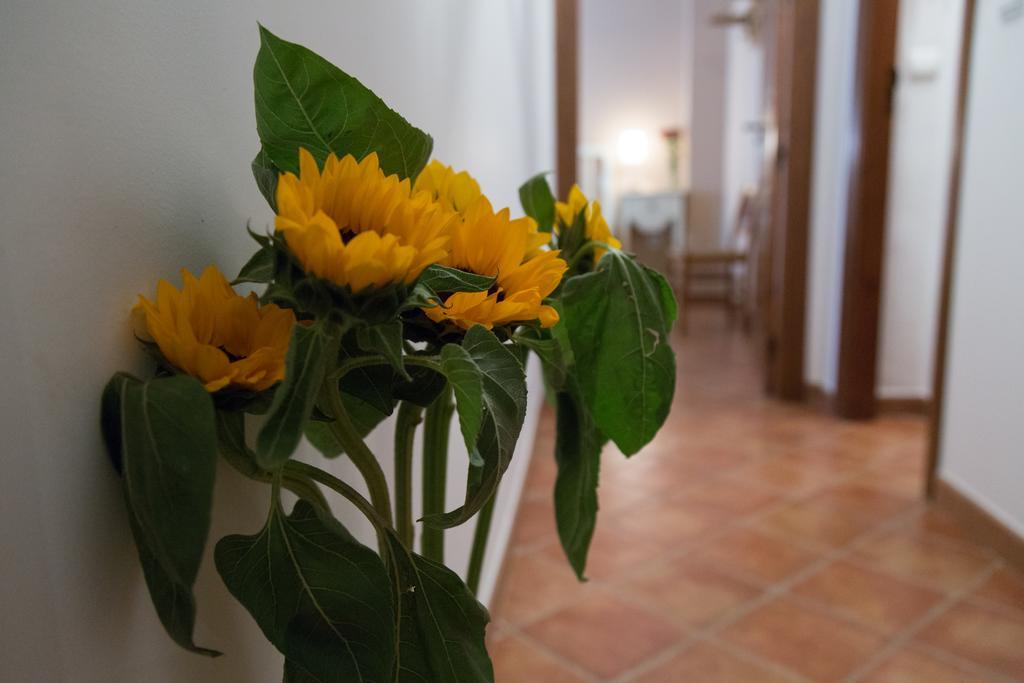 Casa Rural Migolla Осуна Екстериор снимка